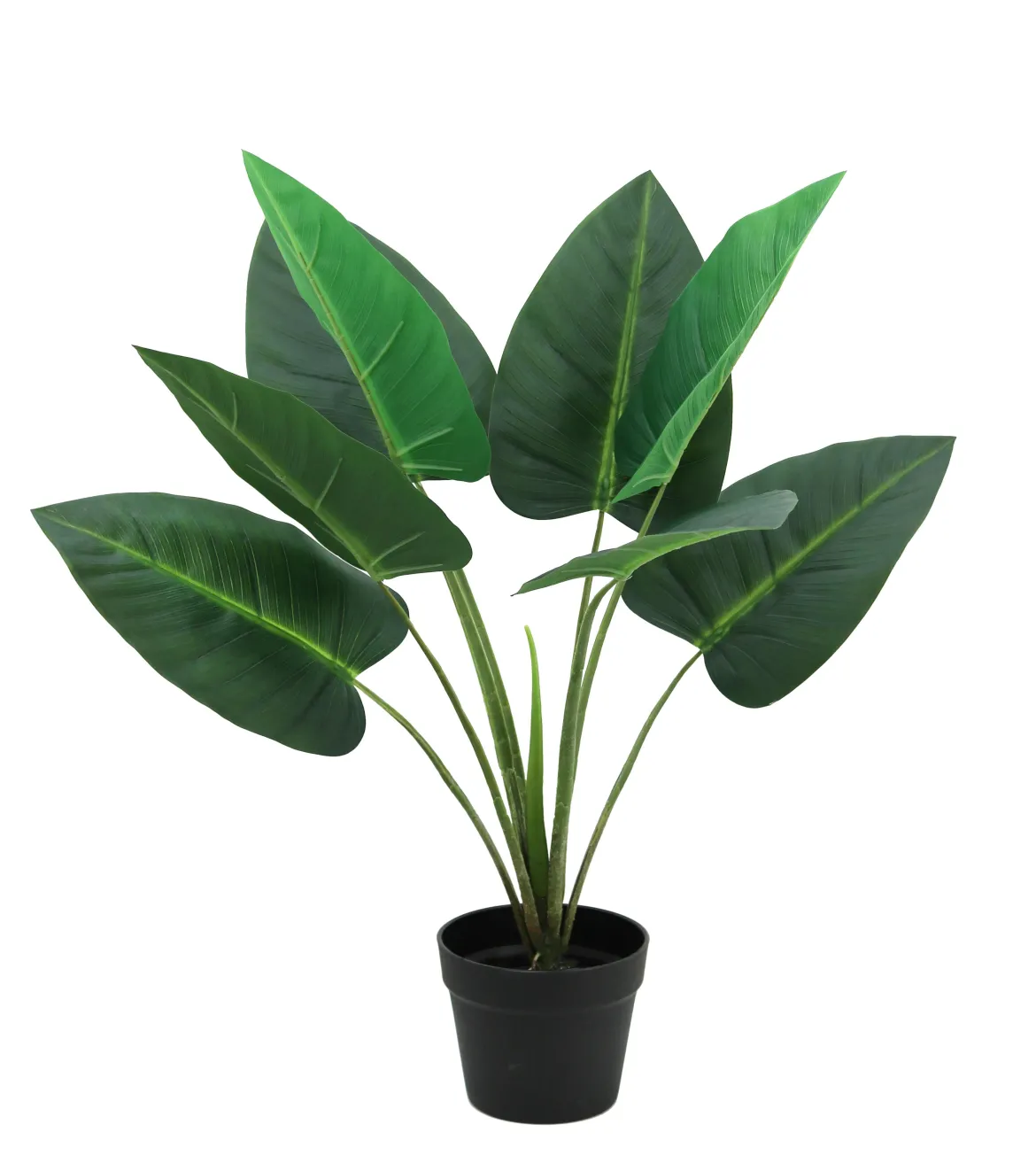 PLANTE ANTHURIUM POT H.70CM