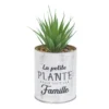 PLANTE ARTIFICIELLE SUCCULENTE POT METAL H12.5CM