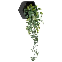 PLANTE A SUSPENDRE CIMENT AYAME NOIR H.14CM