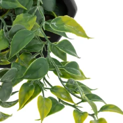PLANTE A SUSPENDRE CIMENT AYAME NOIR H.14CM