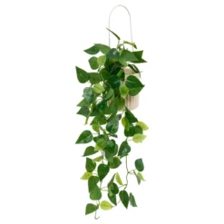 PLANTE A SUSPENDRE POT CERAMIQUE POOL H.82CM