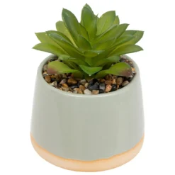 PLANTE BE VINTAGE POT CERAMIQUE REACTIVE H.12CM