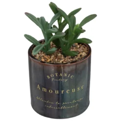 PLANTE CERAMIQUE REAC BOTANIC NOIR H.17CM