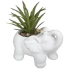 PLANTE CIMENT ELEPHANT H.10CM