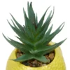 PLANTE FRUITY H.11CM
