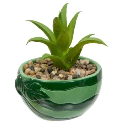 PLANTE FRUITY H.11CM