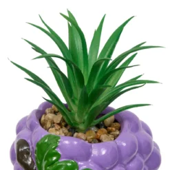 PLANTE FRUITY H.11CM