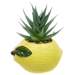 PLANTE FRUITY H.11CM