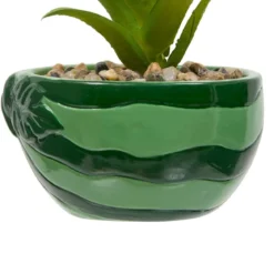 PLANTE FRUITY H.11CM