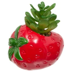 PLANTE FRUITY H.11CM