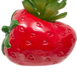 PLANTE FRUITY H.11CM