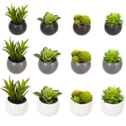 PLANTE GRASSE AIMANT D.6CM