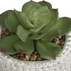 PLANTE GRASSE BOUDDHA CIMENT VIA H.13CM