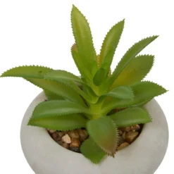 PLANTE GRASSE CIMENT STEFI H.15CM