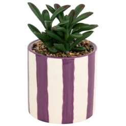 PLANTE GRASSE DEEP PURPLE POT CERAMIQUE RAYE H.16CM