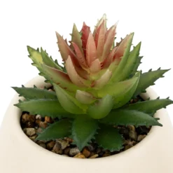PLANTE GRASSE LIVY POT CERAMIQUE H.17CM