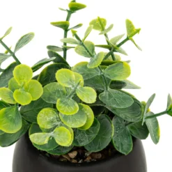 PLANTE GRASSE LIVY POT CERAMIQUE H.17CM