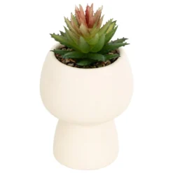 PLANTE GRASSE LIVY POT CERAMIQUE H.17CM