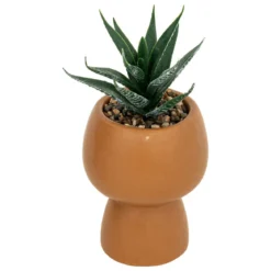 PLANTE GRASSE LIVY POT CERAMIQUE H.17CM
