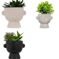PLANTE GRASSE POT CIMENT DUSTY H.22CM