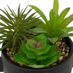 PLANTE GRASSE POT CIMENT DUSTY H.22CM