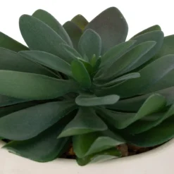 PLANTE GRASSE POT CIMENT DUSTY H.22CM