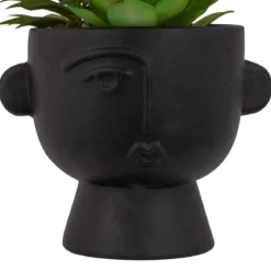 PLANTE GRASSE POT CIMENT DUSTY H.22CM