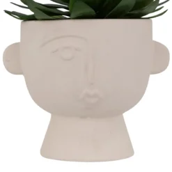 PLANTE GRASSE POT CIMENT DUSTY H.22CM