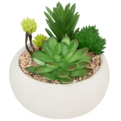 PLANTE GRASSE POT CIMENT MIKI BLANC H.10CM