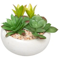 PLANTE GRASSE POT CIMENT MIKI BLANC H.10CM