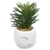 PLANTE GRASSE VISAGE TERI H.13CM