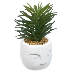 PLANTE GRASSE VISAGE TERI H.13CM