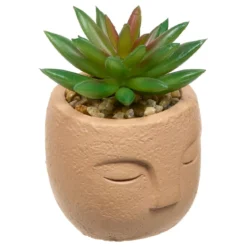 PLANTE GRASSE VISAGE TERI H.13CM