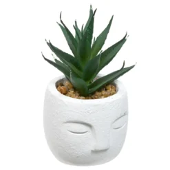 PLANTE GRASSE VISAGE TERI H.13CM