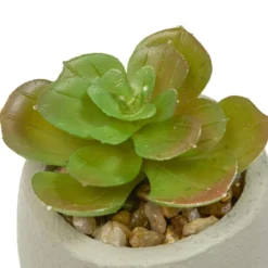 PLANTE GRASSE VISAGE TERI H.13CM