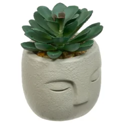 PLANTE GRASSE VISAGE TERI H.13CM