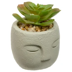 PLANTE GRASSE VISAGE TERI H.13CM