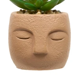 PLANTE GRASSE VISAGE TERI H.13CM