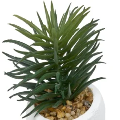 PLANTE GRASSE VISAGE TERI H.13CM