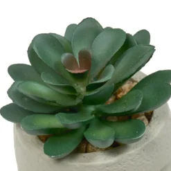 PLANTE GRASSE VISAGE TERI H.13CM