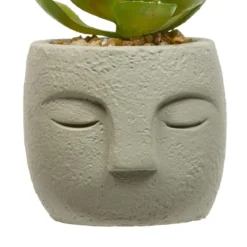 PLANTE GRASSE VISAGE TERI H.13CM