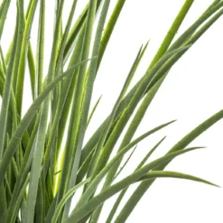 PLANTE HERBE POT NATUREL MODA H.46CM
