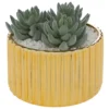 PLANTE LE COLLECTIONNEUR CERAMIQUE DORE H.12CM