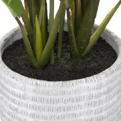 PLANTE LYS DE LA PAIX POT CIMENT H.54CM