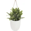 PLANTE MURALE A SUSPENDRE CERAMIQUE H.20CM