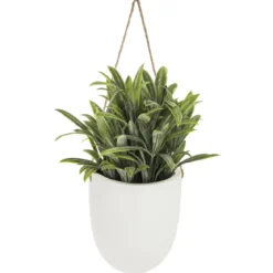 PLANTE MURALE A SUSPENDRE CERAMIQUE H.20CM