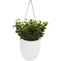 PLANTE MURALE A SUSPENDRE CERAMIQUE H.20CM