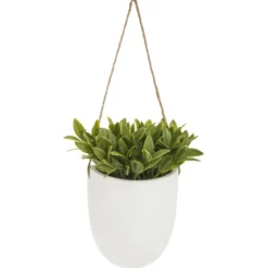 PLANTE MURALE A SUSPENDRE CERAMIQUE H.20CM