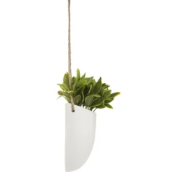 PLANTE MURALE A SUSPENDRE CERAMIQUE H.20CM