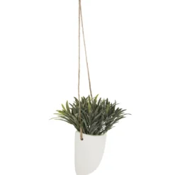 PLANTE MURALE A SUSPENDRE CERAMIQUE H.20CM
